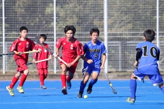 Chugaku11-Women-2019_IP-Miyagi-Hyogo_pic17